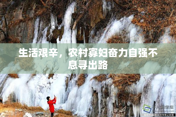 生活艰辛，农村寡妇奋力自强不息寻出路