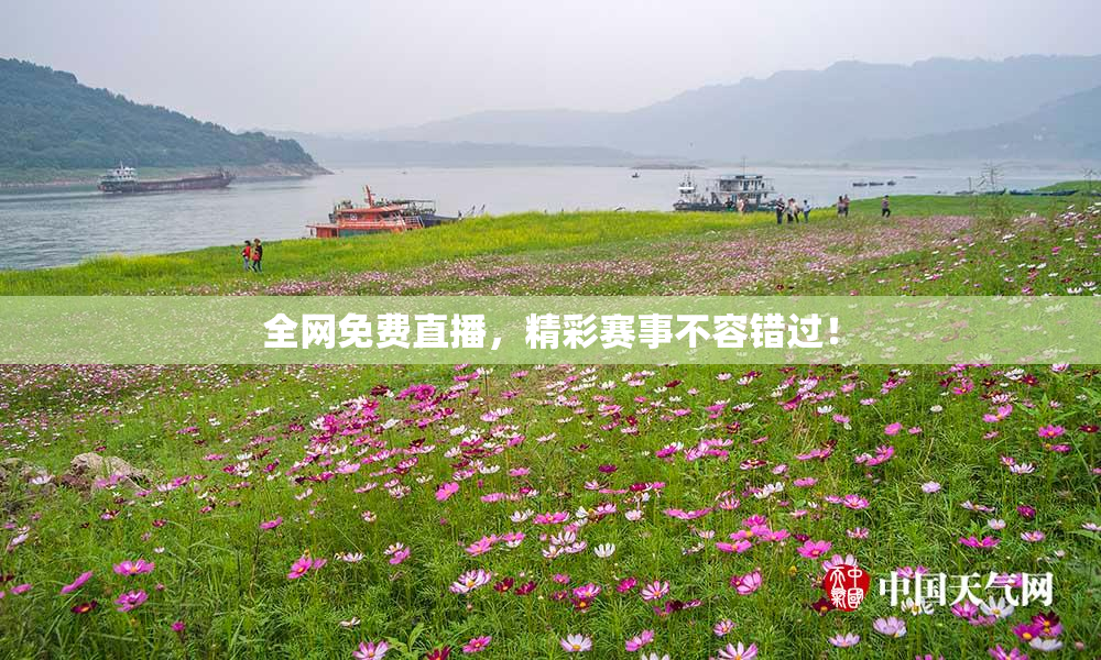 全网免费直播，精彩赛事不容错过！