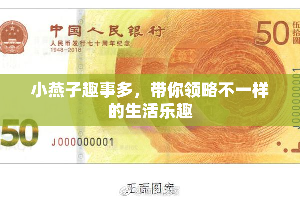 小燕子趣事多，带你领略不一样的生活乐趣