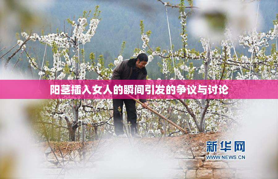 阳茎插入女人的瞬间引发的争议与讨论