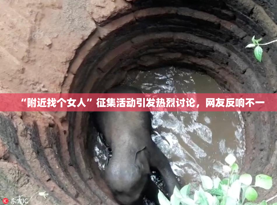 “附近找个女人”征集活动引发热烈讨论，网友反响不一