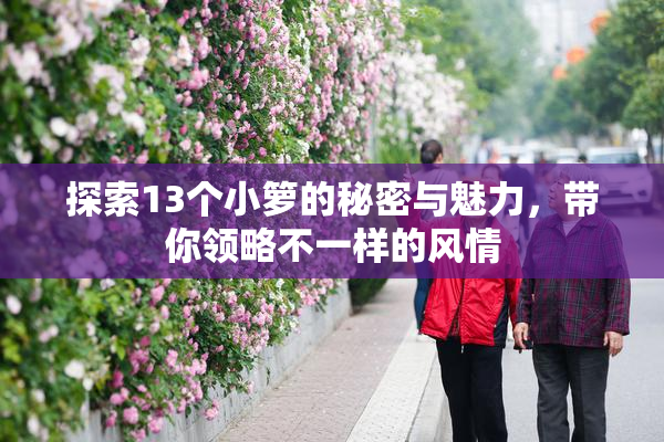 探索13个小箩的秘密与魅力，带你领略不一样的风情