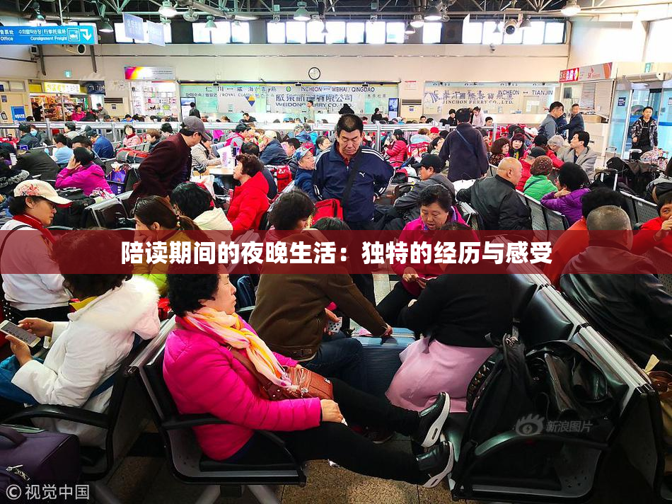 陪读期间的夜晚生活：独特的经历与感受