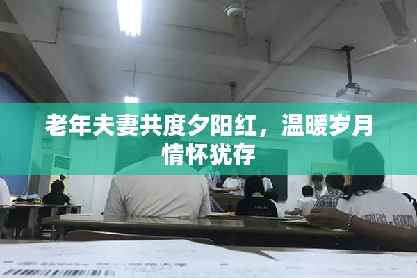 老年夫妻共度夕阳红，温暖岁月情怀犹存