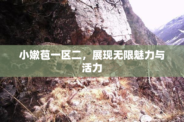 小嫩苞一区二，展现无限魅力与活力