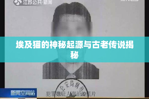 埃及猫的神秘起源与古老传说揭秘