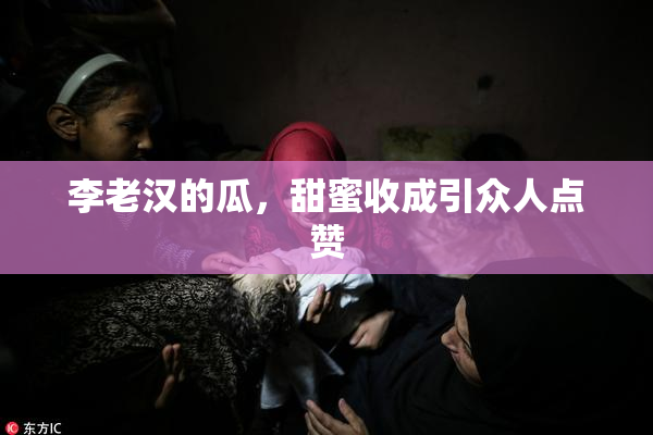 李老汉的瓜，甜蜜收成引众人点赞