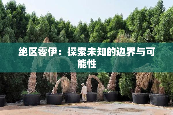 绝区零伊：探索未知的边界与可能性