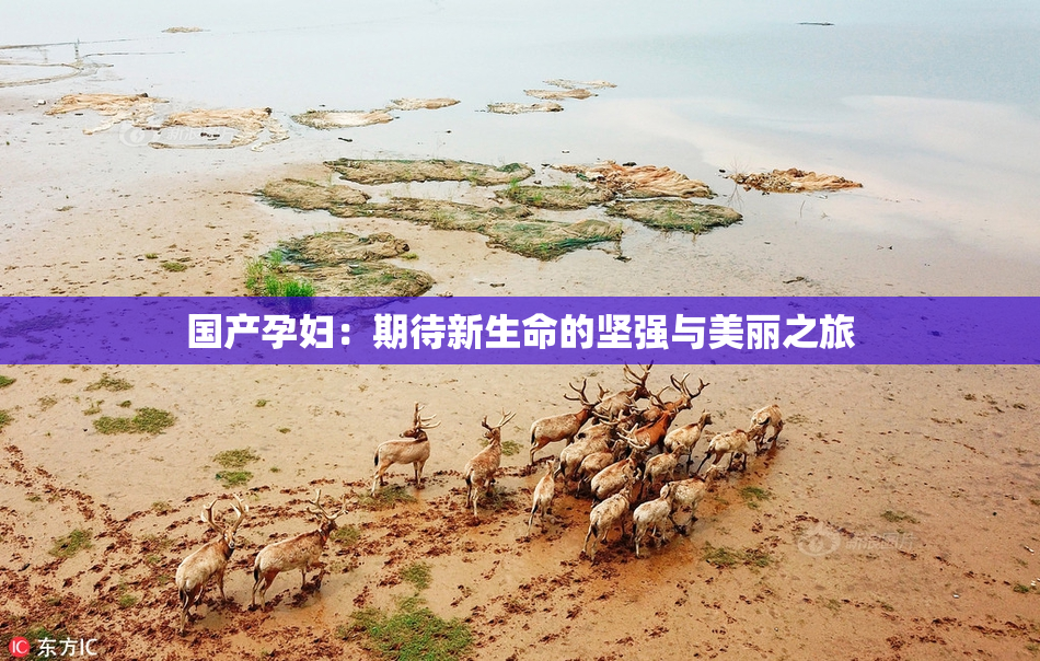 国产孕妇：期待新生命的坚强与美丽之旅