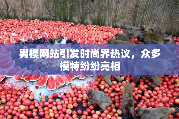 男模网站引发时尚界热议，众多模特纷纷亮相
