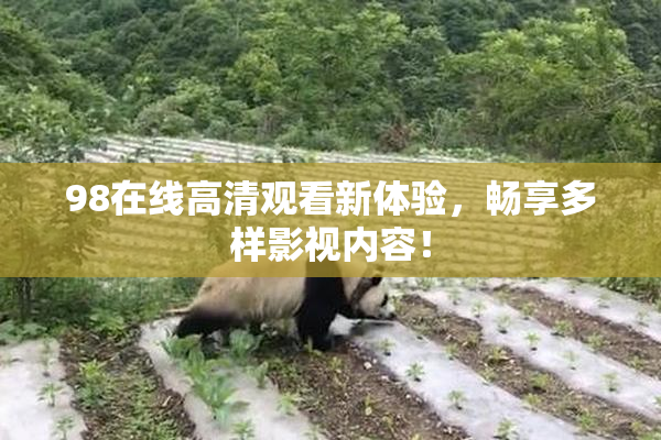 98在线高清观看新体验，畅享多样影视内容！