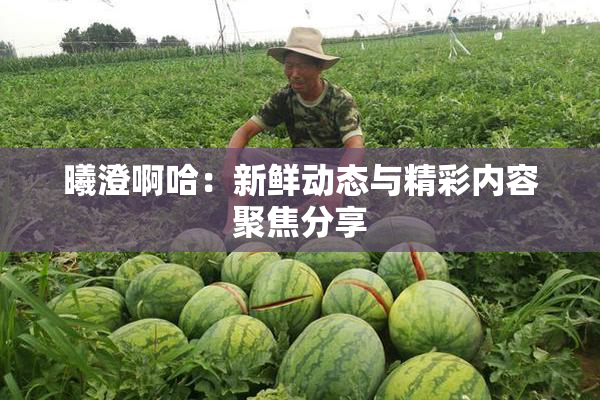 曦澄啊哈：新鲜动态与精彩内容聚焦分享