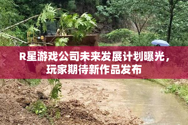 R星游戏公司未来发展计划曝光，玩家期待新作品发布