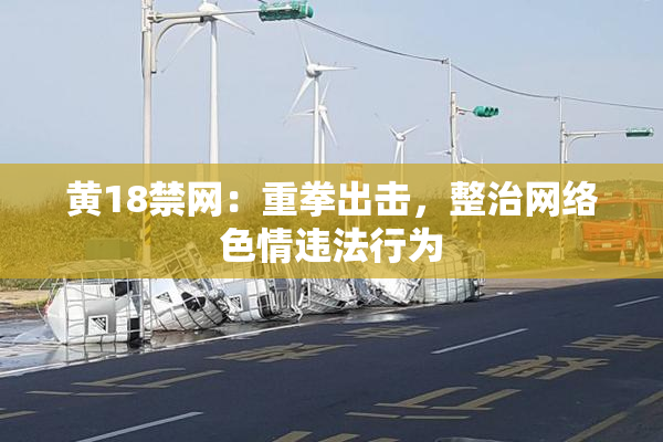 黄18禁网：重拳出击，整治网络色情违法行为