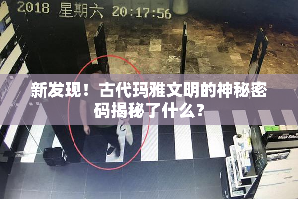 新发现！古代玛雅文明的神秘密码揭秘了什么？