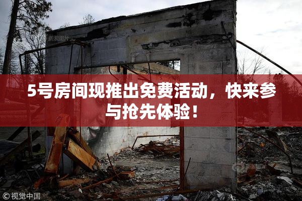 5号房间现推出免费活动，快来参与抢先体验！