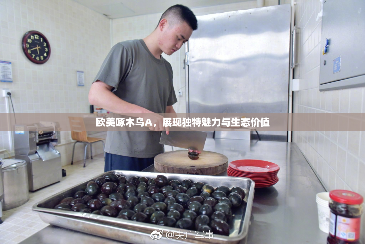欧美啄木乌A，展现独特魅力与生态价值