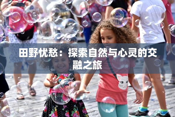 田野忧愁：探索自然与心灵的交融之旅