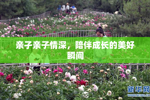 亲孑亲子情深，陪伴成长的美好瞬间