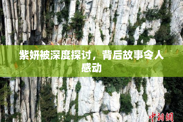 紫妍被深度探讨，背后故事令人感动