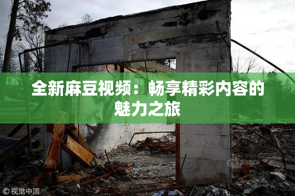 全新麻豆视频：畅享精彩内容的魅力之旅