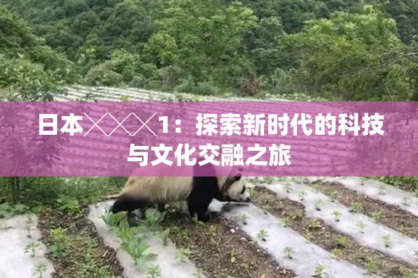 日本╳╳╳1：探索新时代的科技与文化交融之旅