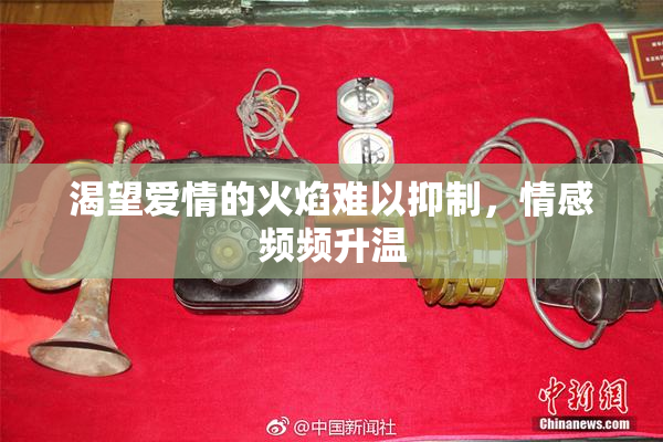渴望爱情的火焰难以抑制，情感频频升温