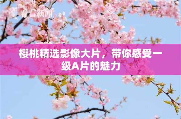 樱桃精选影像大片，带你感受一级A片的魅力