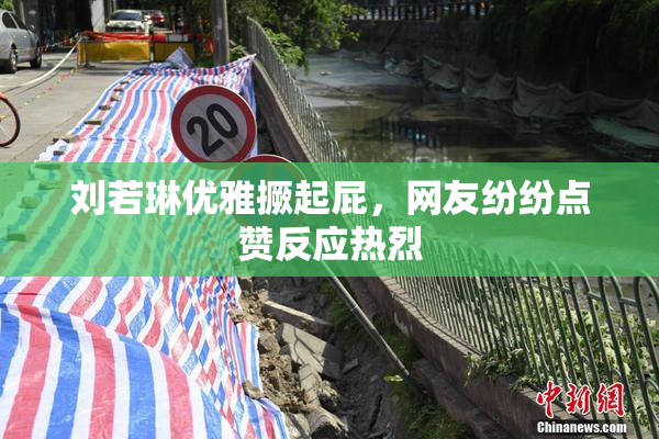 刘若琳优雅撅起屁，网友纷纷点赞反应热烈