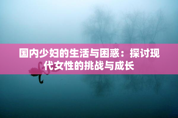国内少妇的生活与困惑：探讨现代女性的挑战与成长