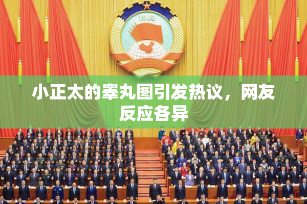 小正太的睾丸图引发热议，网友反应各异