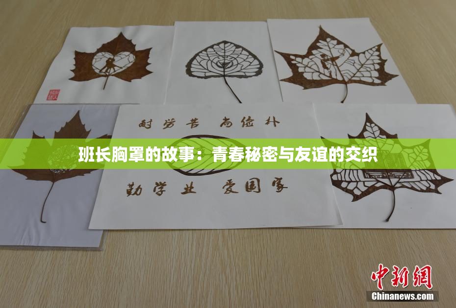 班长胸罩的故事：青春秘密与友谊的交织