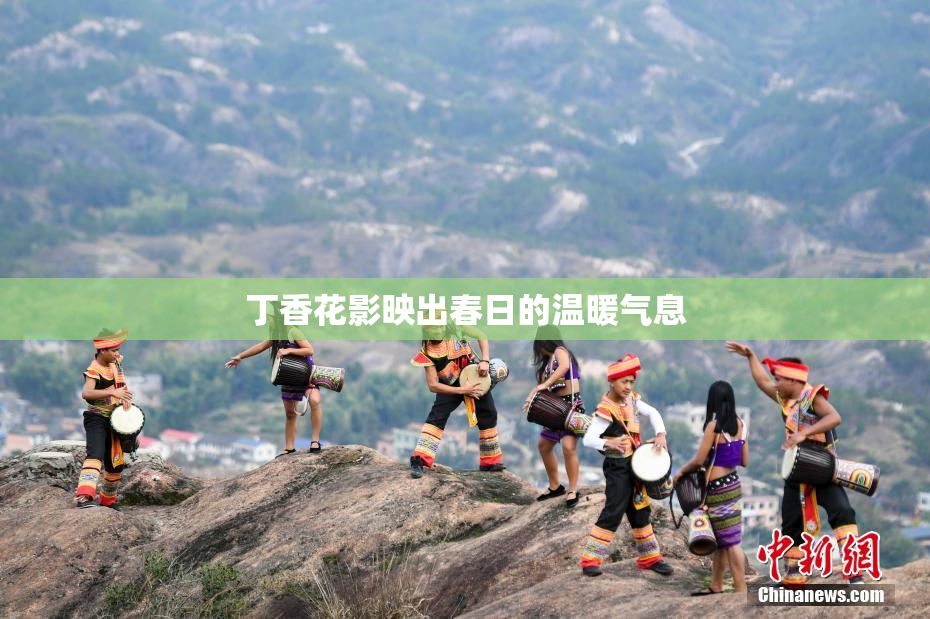 丁香花影映出春日的温暖气息