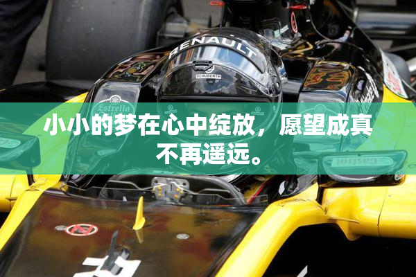 小小的梦在心中绽放，愿望成真不再遥远。
