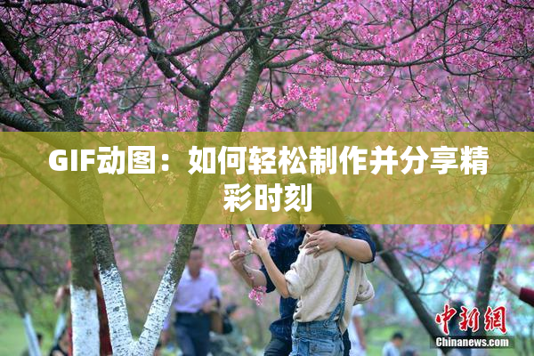 GIF动图：如何轻松制作并分享精彩时刻