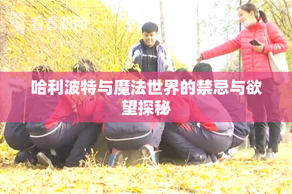 哈利波特与魔法世界的禁忌与欲望探秘