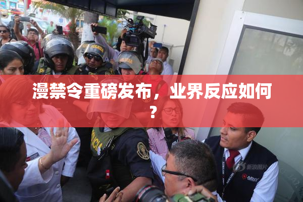 漫禁令重磅发布，业界反应如何？