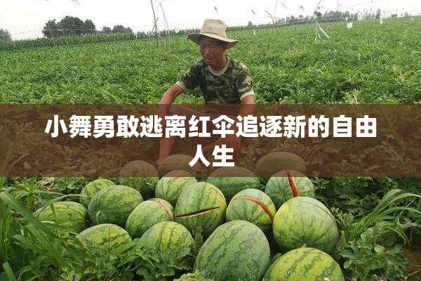 小舞勇敢逃离红伞追逐新的自由人生