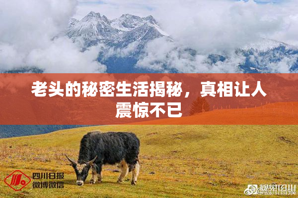 老头的秘密生活揭秘，真相让人震惊不已