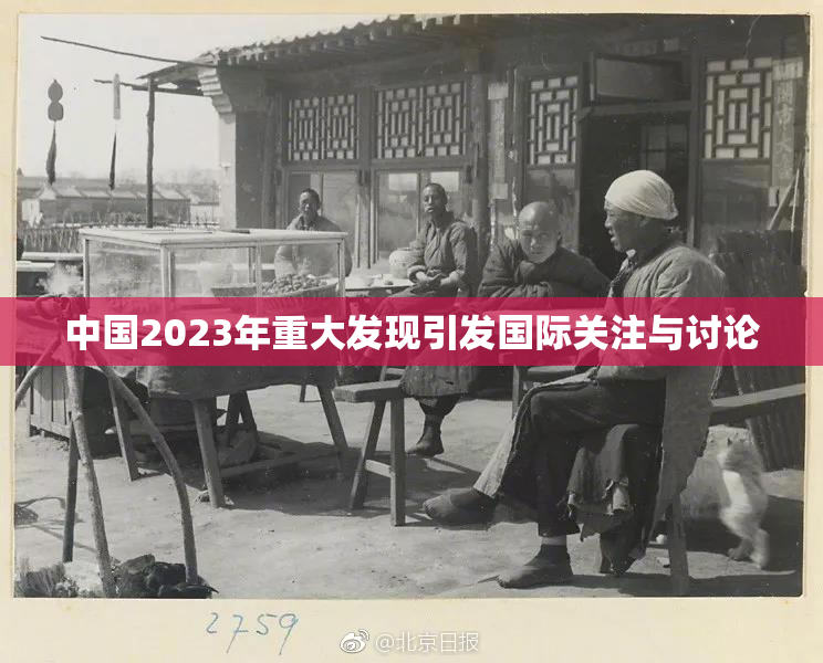 中国2023年重大发现引发国际关注与讨论