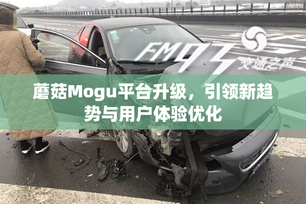 蘑菇Mogu平台升级，引领新趋势与用户体验优化