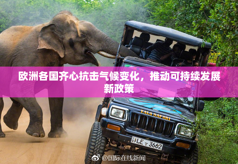 欧洲各国齐心抗击气候变化，推动可持续发展新政策