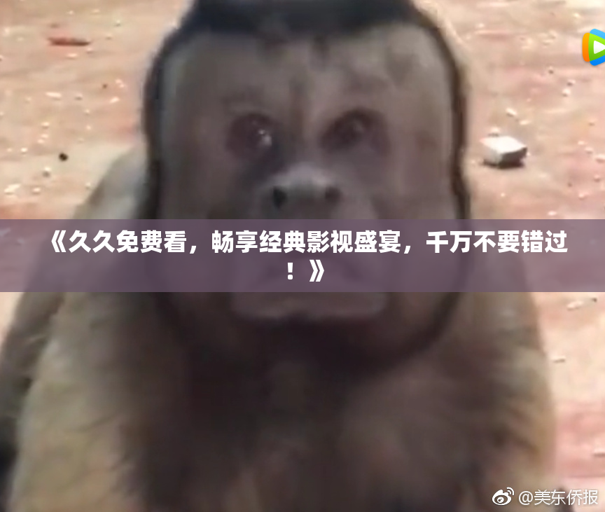 《久久免费看，畅享经典影视盛宴，千万不要错过！》
