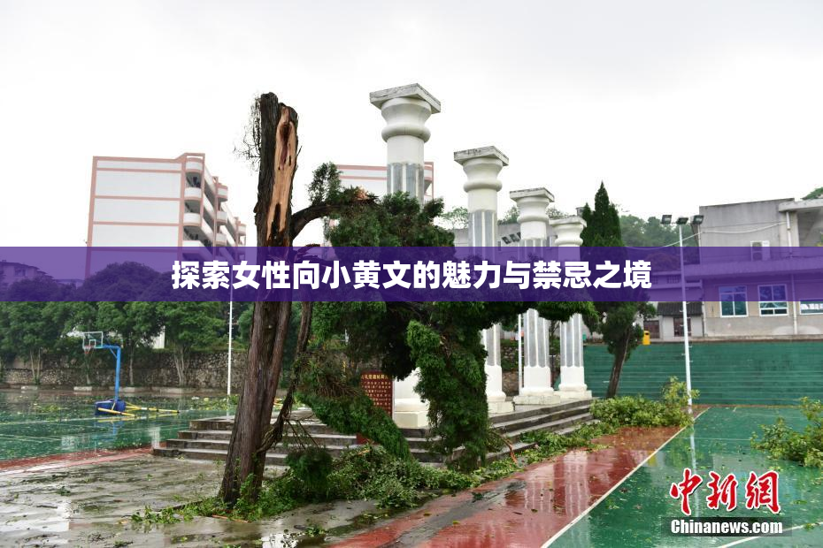 探索女性向小黄文的魅力与禁忌之境