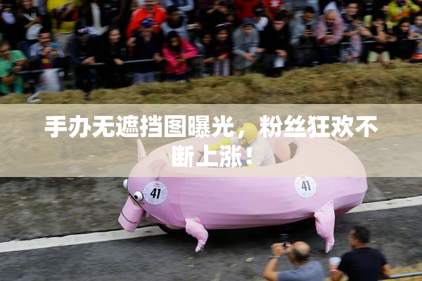 手办无遮挡图曝光，粉丝狂欢不断上涨！