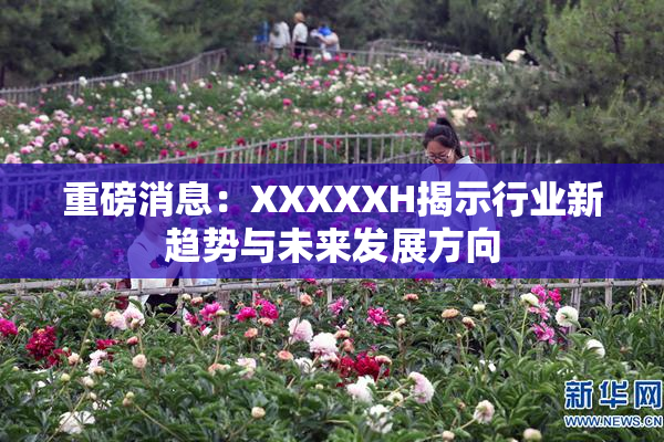 重磅消息：XXXXXH揭示行业新趋势与未来发展方向
