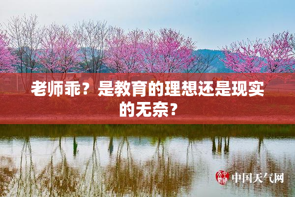老师乖？是教育的理想还是现实的无奈？