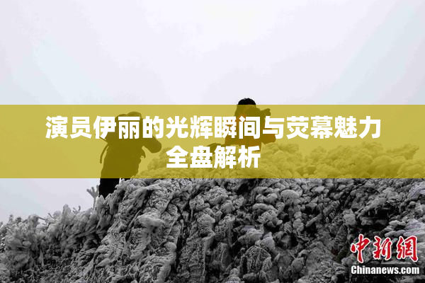 演员伊丽的光辉瞬间与荧幕魅力全盘解析