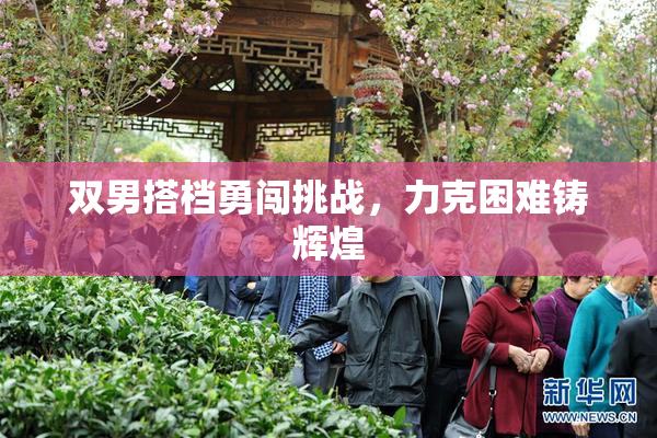 双男搭档勇闯挑战，力克困难铸辉煌
