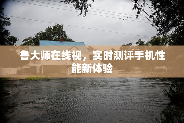 鲁大师在线视，实时测评手机性能新体验